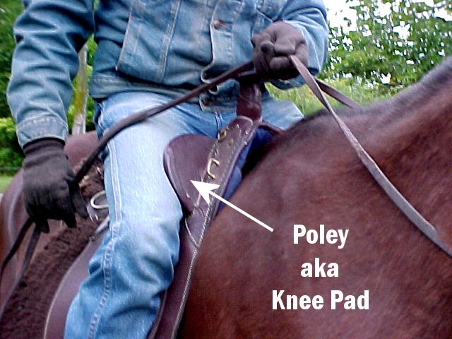 Poley