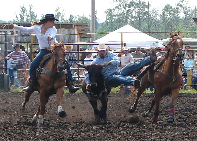 steer wrestler