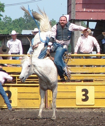 A bucking horse