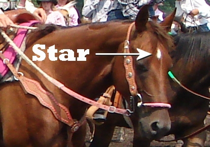 Star