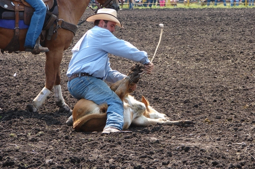 Calf roper tying a hooey