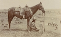 Texas horse wrangler