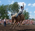 Crow-hopping bronco