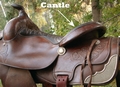 Cantle on a saddle