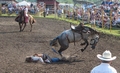 A bronc rider chewing gravel