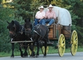 Chuck wagon with canvas top