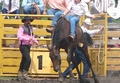 A rodeo Chute Boss