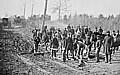 Civil War engineers building a corduroy road