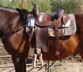 Double rigged saddle