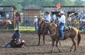 Rodeo Flagman