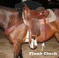 Flank cinch