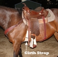 Girth strap