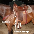Cinch showing the latigo and girth