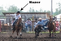 Hazer working with steer wrestler