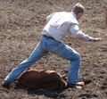 Cowboy finished hogtying a calf