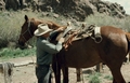 Cowhand rigging a pack saddle