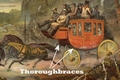 Thoroughbraces