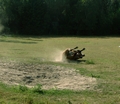 Horse wallowing in a sandy wallow