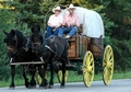 Water cask on a chuck wagon