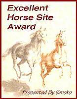 Smoko's Excellent Horse Site Award