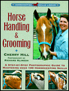 Horse Handling and Grooming