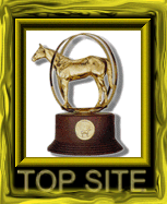 TheHorseSource.com Gold Award