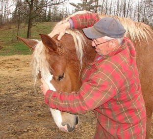 Duane Barrow demonstrates where to put pressure in teaching a horse to lower its head