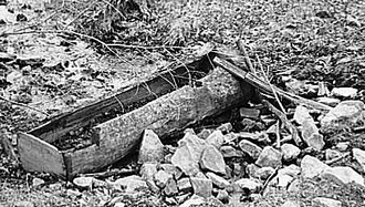 Water trough made of hollowed log on farm near Danby, New York