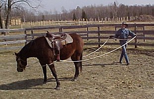 Using the long lines on Fanny