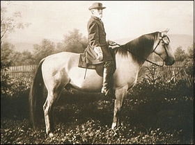 Robert E. Lee on Traveler