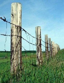 Barbed wire fence