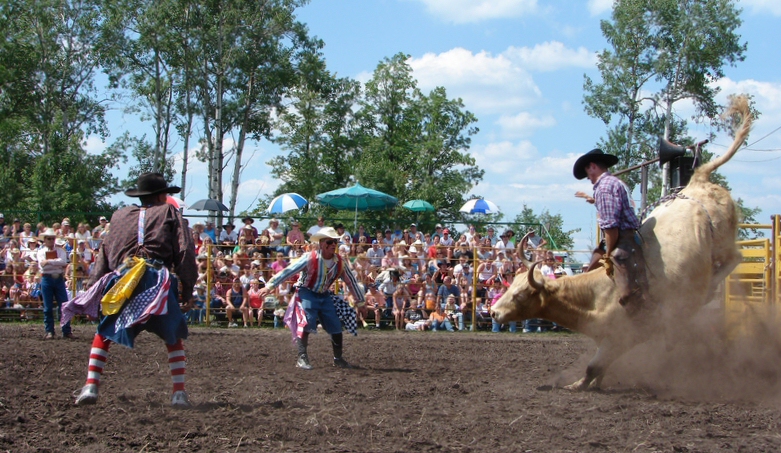 Bull riding action