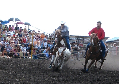 Calf roping