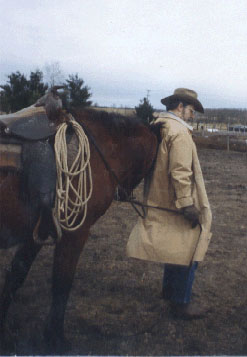 Willy rubbing head on Bob's back