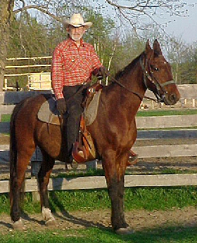 Bob has used the same felt saddle pad for more than 17 years