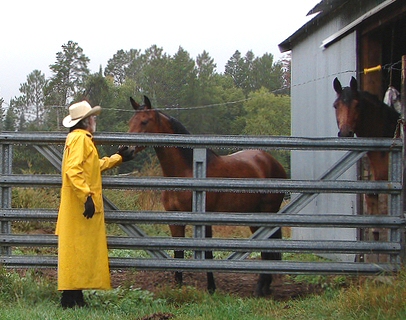 Cowboy Bob checking horses in the rain