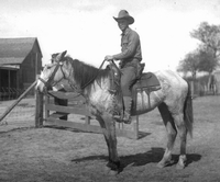 Texas Cowboy