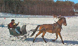 Riders-In-Cahoots sleigh and cutter rally