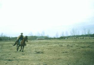 Bob galloping Willy across field